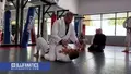 Armbar Hustle by Adam Miller image 5