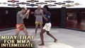 Muay Thai For MMA Intermediate by Alex Exsisto image 3
