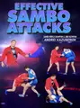 Effective Sambo Attacks by Andrei Kazusenok image 1