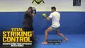 Total Striking Control by Alex "Po Atan" Pereira image 3