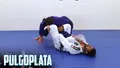 Pulgoplata by Alexandre Pimental image 3