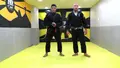 Seated Lapel Guard System by Alessandro Botelo image 5