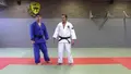 Ippon Seoi Nage Secrets by Alexander Wieczerzak image 4