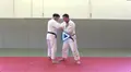 The Slovenian Judo System by Aljaz Sedej image 3