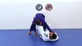 Pulgoplata by Alexandre Pimental image 4