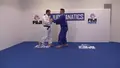 Tai Otoshi by Andy Hung image 3
