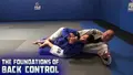 The Foundations of Back Control by Ante Dzolic image 3