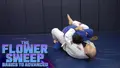 The Flower Sweep Basics To Advanced by Ante Dzolic image 3