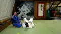 Judo Strangles 2.0 by Andy Hung image 4
