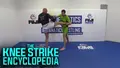 The Knee Strike Encyclopedia by Artem Levin image 3