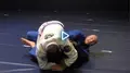 Systematic Armlock Defenses by Ante Dzolic image 5