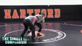 The Single Leg Compendium by Barry Davis image 3