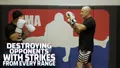 Destroying Opponents With Strikes From Every Range by Bas Rutten image 3