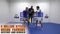 A Million Styles: Boxing Pad Work by Barry Robinson image 3