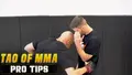 Tao of MMA: Pro Tips by Bas Rutten image 3