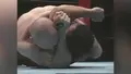 Tao of MMA: Pro Tips by Bas Rutten image 4