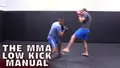 The MMA Low Kick Manual by Beneil Dariush image 3