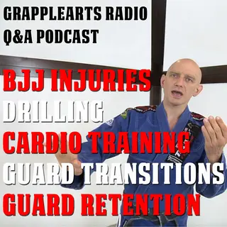 030 - The Second-Ever Grapplearts Q&A Podcast with Stephan Kesting
