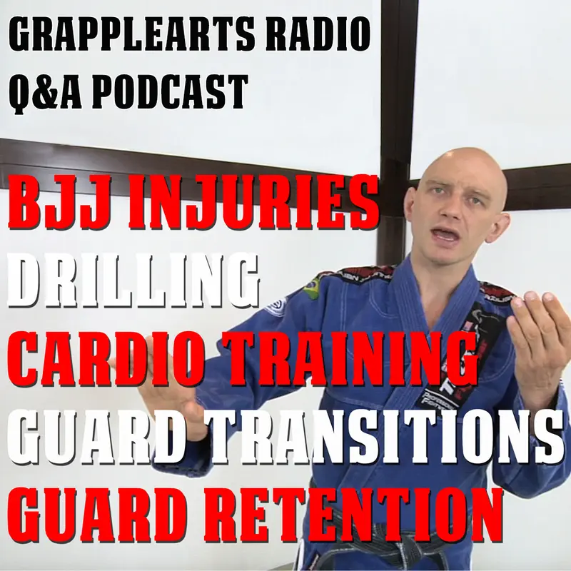 030 - The Second-Ever Grapplearts Q&A Podcast with Stephan Kesting