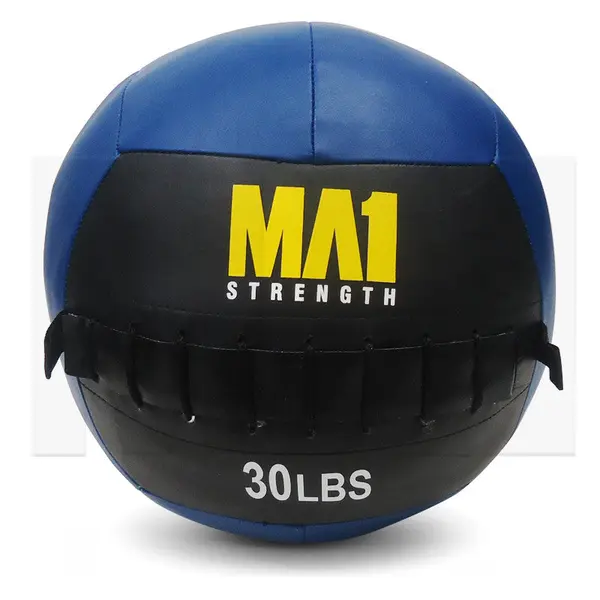 MA1 30lb Wall Ball - Blue