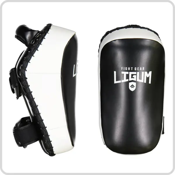Master of the House - Thai MMA Pads