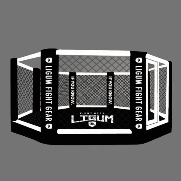 MMA Ring