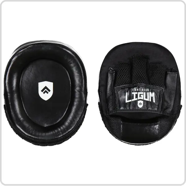Focus Target Mitts