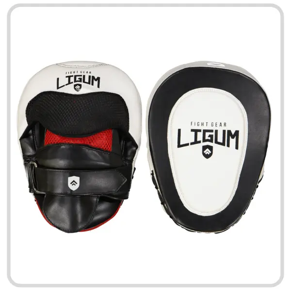 Focus Mitts - Professional Coaching Series - Pair
