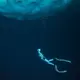 450 - Save the Fear for Later; Discipline, Fear Management & Survival Lessons from Champion Freediver Anna von Boetticher