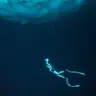 450 - Save the Fear for Later; Discipline, Fear Management & Survival Lessons from Champion Freediver Anna von Boetticher
