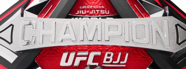 UFC BJJ 13