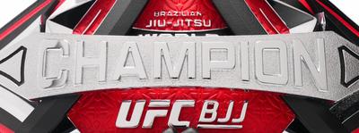 UFC BJJ 14