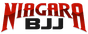 Cicero Costha Niagara logo