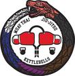 Damage Inc. Fight Club logo