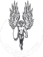 Gracie Barra Leicester logo