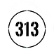 313 Brazilian Jiu Jitsu - Leyton logo