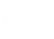 Putney BJJ logo