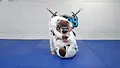 3 on 1 Guard Dominance by Andre Galvao image 6