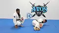 Introduction to Brazilian Jiu Jitsu by Andre Galvao image 5