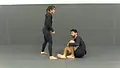 Jiu Jitsu Flow by Ari Goldman image 5