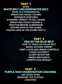 How To Learn Jiu Jitsu by Chris Paines image 2