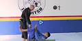 The Cicero Costha BJJ Competition Blue Print by Cicero Costha image 5