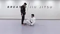 De La Riva Fundamentals by Danny Stolfi image 3