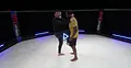 The Winning Fundamentals Of MMA by Chael Sonnen image 5