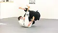 De La X: Sweeps, Back Takes and Submissions by Felipe Simplicio image 3