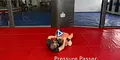 Pass Prevention by Firas Zahabi image 4