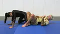 The Pillars of Defense: Leg Locks to Guard Passing by Gordon Ryan image 6