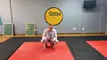 Capoeira For BJJ by Guilherme Santos image 5