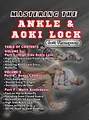 Mastering the Ankle and Aoki Lock by Jett Thompson image 3