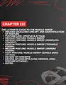 The Ultimate Muscle Sweep by Lucas Sachs image 3